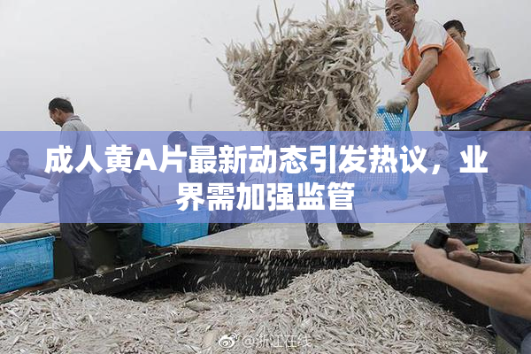 成人黄A片最新动态引发热议，业界需加强监管