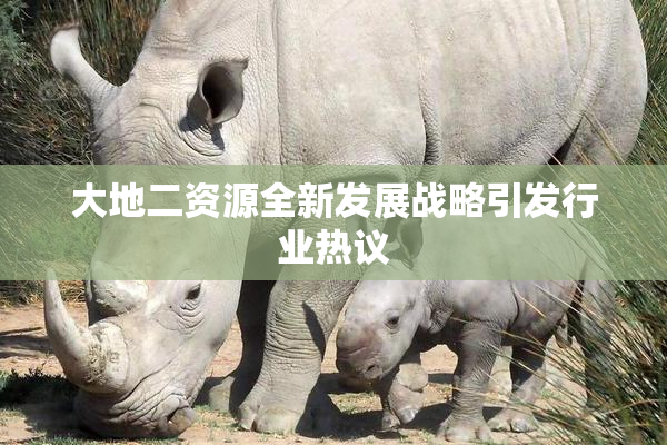 大地二资源全新发展战略引发行业热议