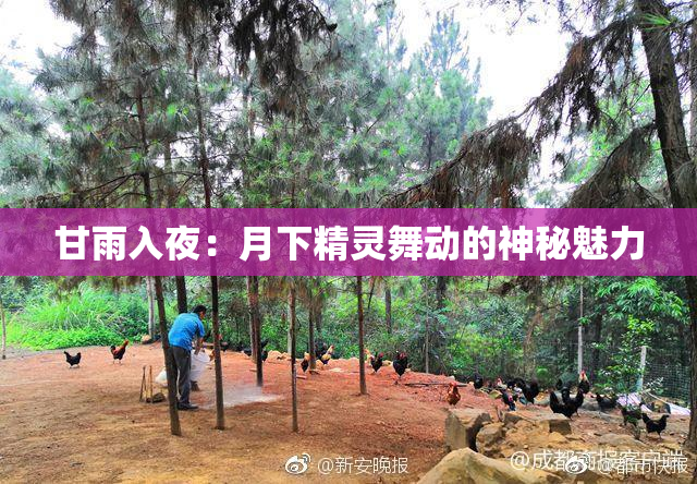甘雨入夜：月下精灵舞动的神秘魅力