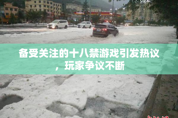 备受关注的十八禁游戏引发热议，玩家争议不断