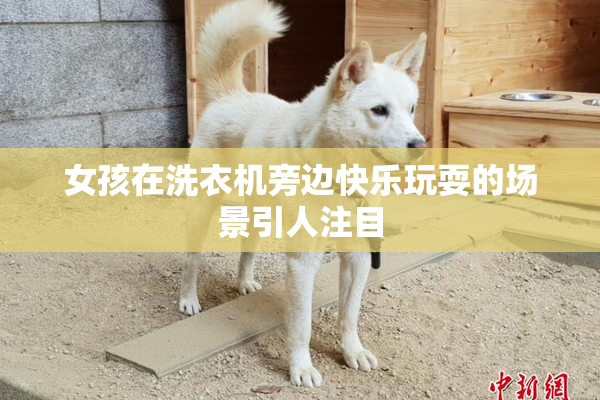 女孩在洗衣机旁边快乐玩耍的场景引人注目