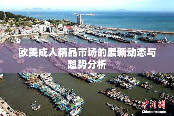 欧美成人精品市场的最新动态与趋势分析