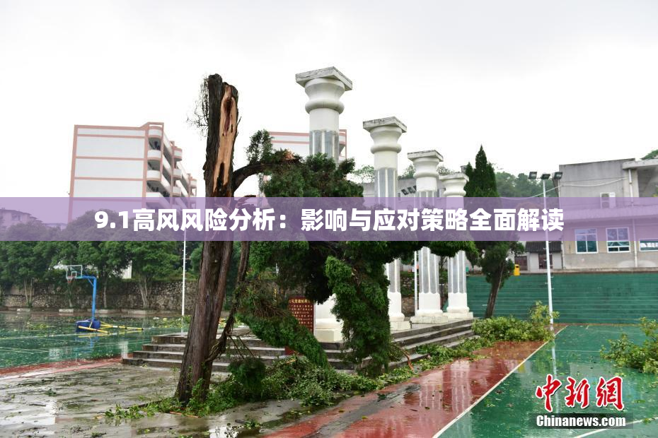 9.1高风风险分析：影响与应对策略全面解读