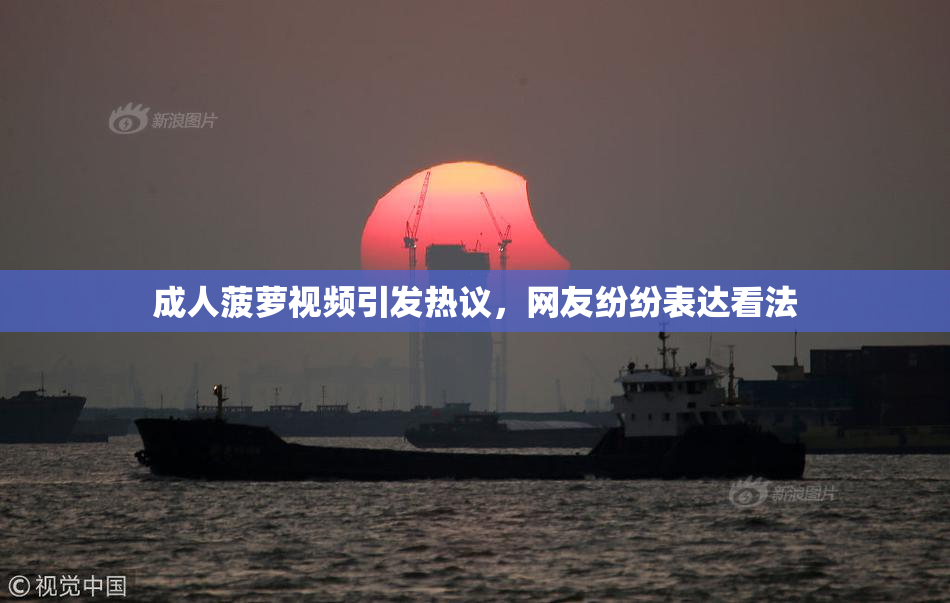 成人菠萝视频引发热议，网友纷纷表达看法