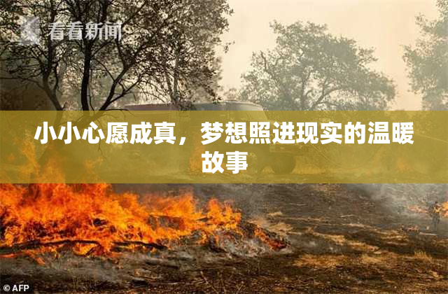 小小心愿成真，梦想照进现实的温暖故事