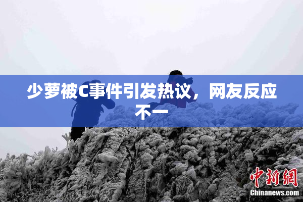 少萝被C事件引发热议，网友反应不一