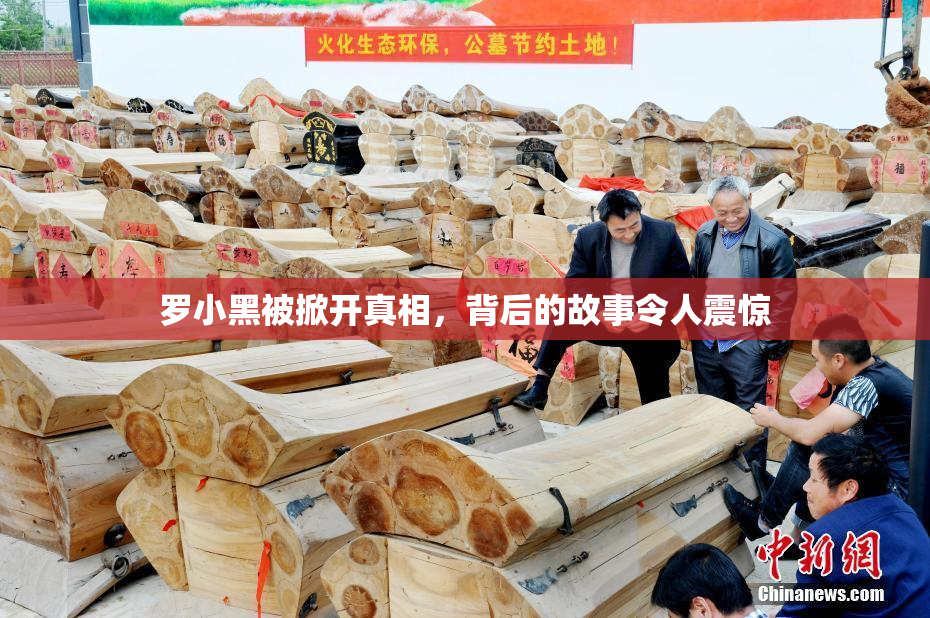 罗小黑被掀开真相，背后的故事令人震惊