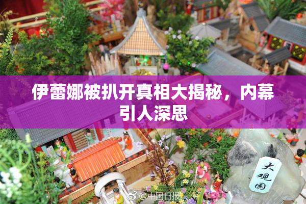 伊蕾娜被扒开真相大揭秘，内幕引人深思