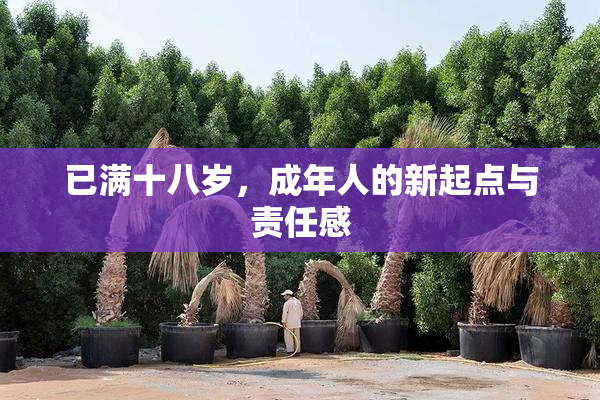 已满十八岁，成年人的新起点与责任感