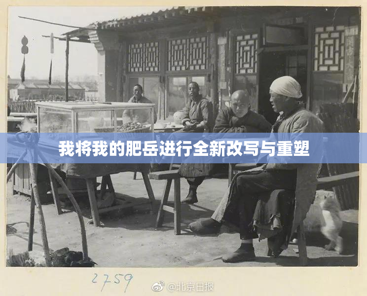 我将我的肥岳进行全新改写与重塑