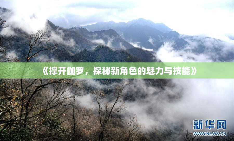 《撑开伽罗，探秘新角色的魅力与技能》