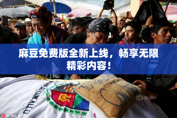 麻豆免费版全新上线，畅享无限精彩内容！
