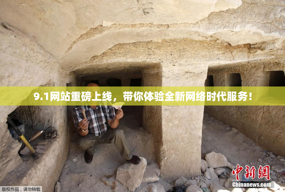 9.1网站重磅上线，带你体验全新网络时代服务！