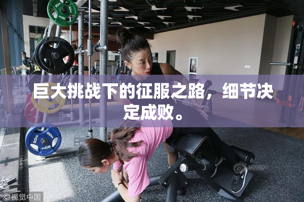 巨大挑战下的征服之路，细节决定成败。