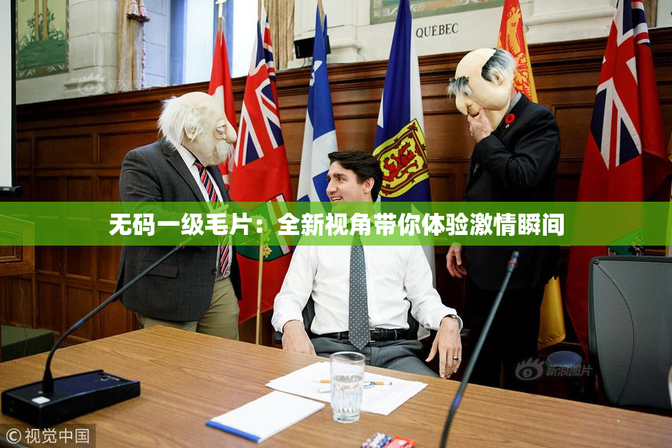 无码一级毛片：全新视角带你体验激情瞬间