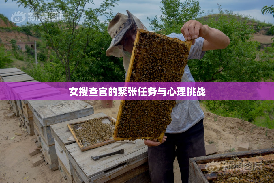 女搜查官的紧张任务与心理挑战