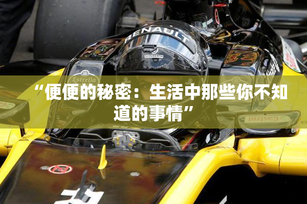 “便便的秘密：生活中那些你不知道的事情”