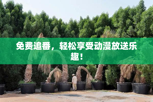 免费追番，轻松享受动漫放送乐趣！