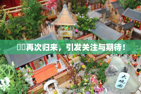妺妺再次归来，引发关注与期待！