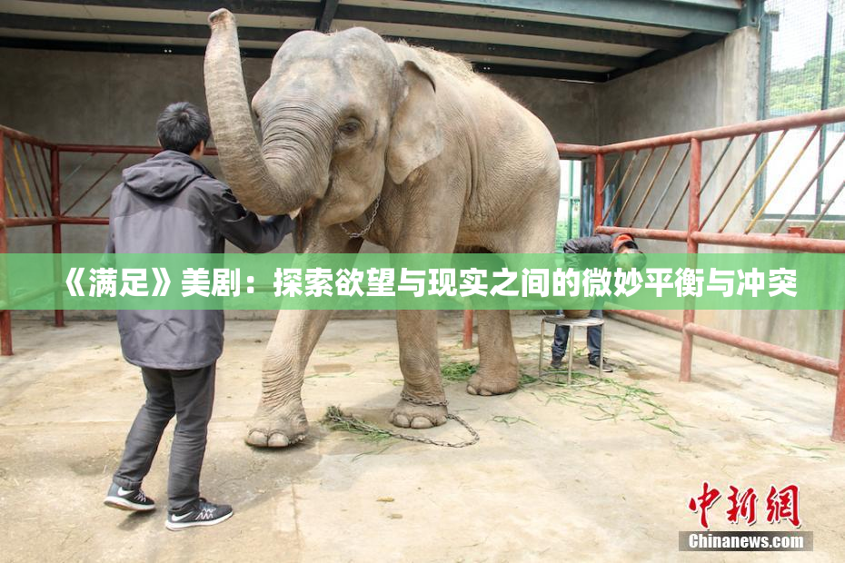《满足》美剧：探索欲望与现实之间的微妙平衡与冲突