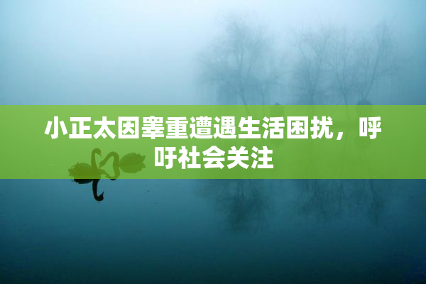 小正太因睾重遭遇生活困扰，呼吁社会关注