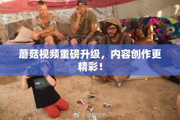 蘑菇视频重磅升级，内容创作更精彩！
