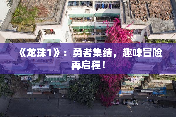 《龙珠1》：勇者集结，趣味冒险再启程！