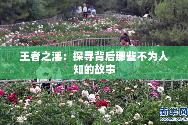 王者之淫：探寻背后那些不为人知的故事