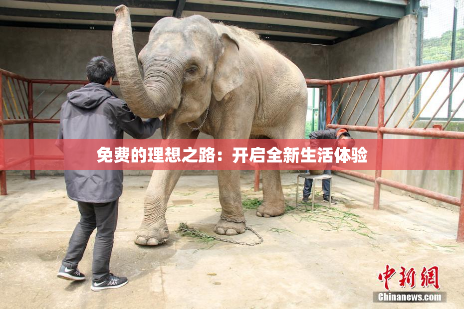 免费的理想之路：开启全新生活体验