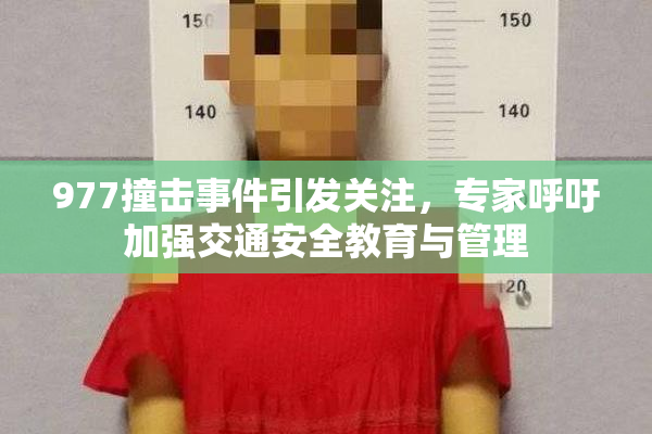 977撞击事件引发关注，专家呼吁加强交通安全教育与管理