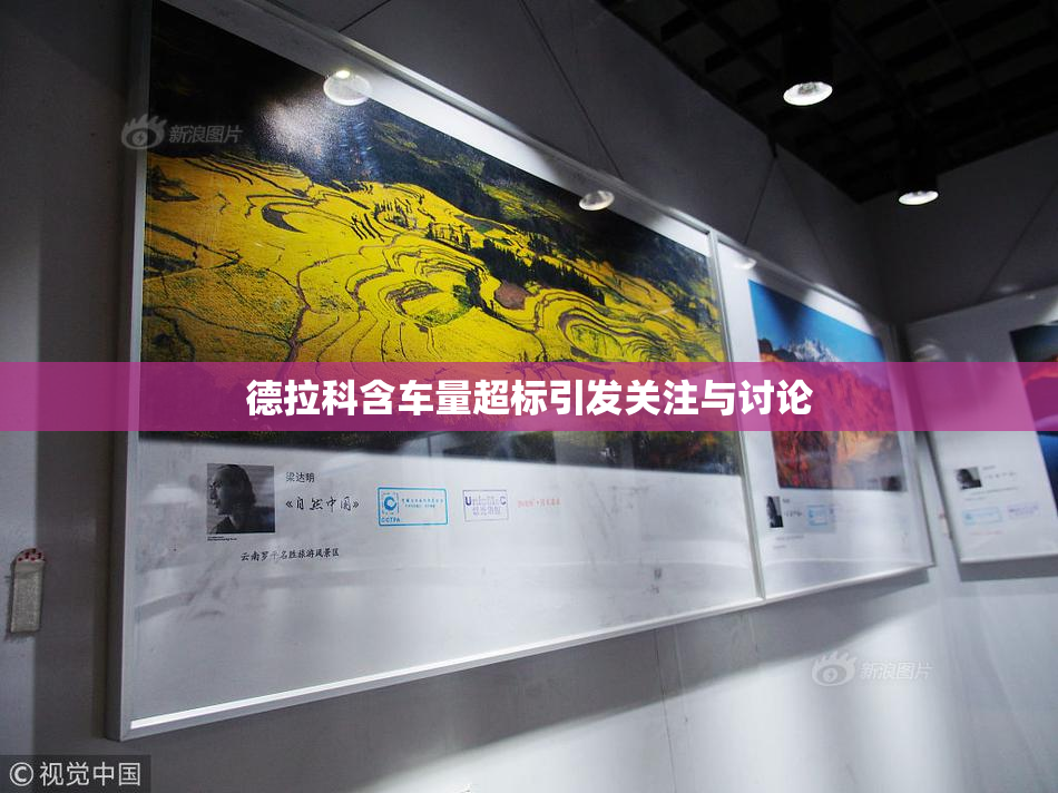德拉科含车量超标引发关注与讨论