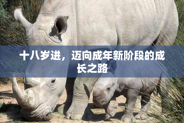 十八岁进，迈向成年新阶段的成长之路