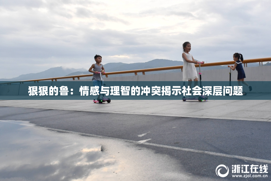狠狠的鲁：情感与理智的冲突揭示社会深层问题
