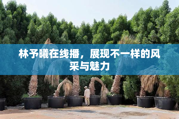 林予曦在线播，展现不一样的风采与魅力