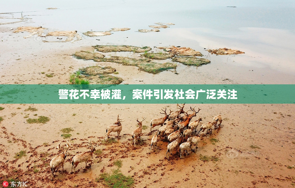 警花不幸被灌，案件引发社会广泛关注