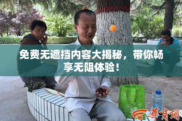 免费无遮挡内容大揭秘，带你畅享无阻体验！