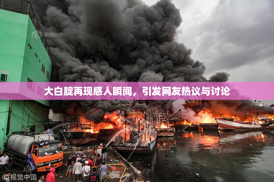 大白腚再现感人瞬间，引发网友热议与讨论