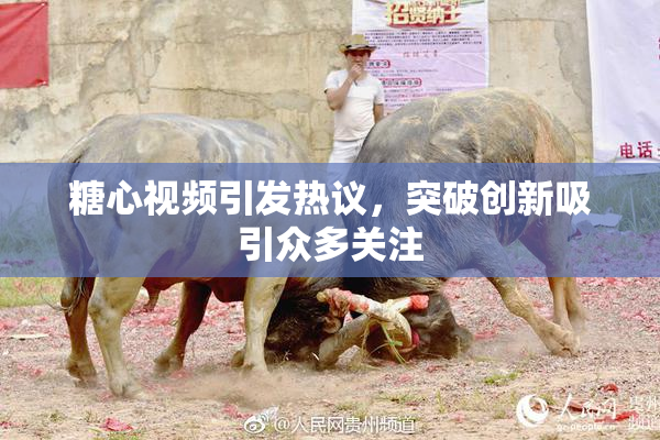 糖心视频引发热议，突破创新吸引众多关注