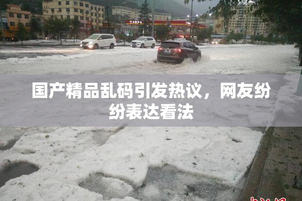 国产精品乱码引发热议，网友纷纷表达看法