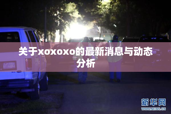 关于xoxoxo的最新消息与动态分析