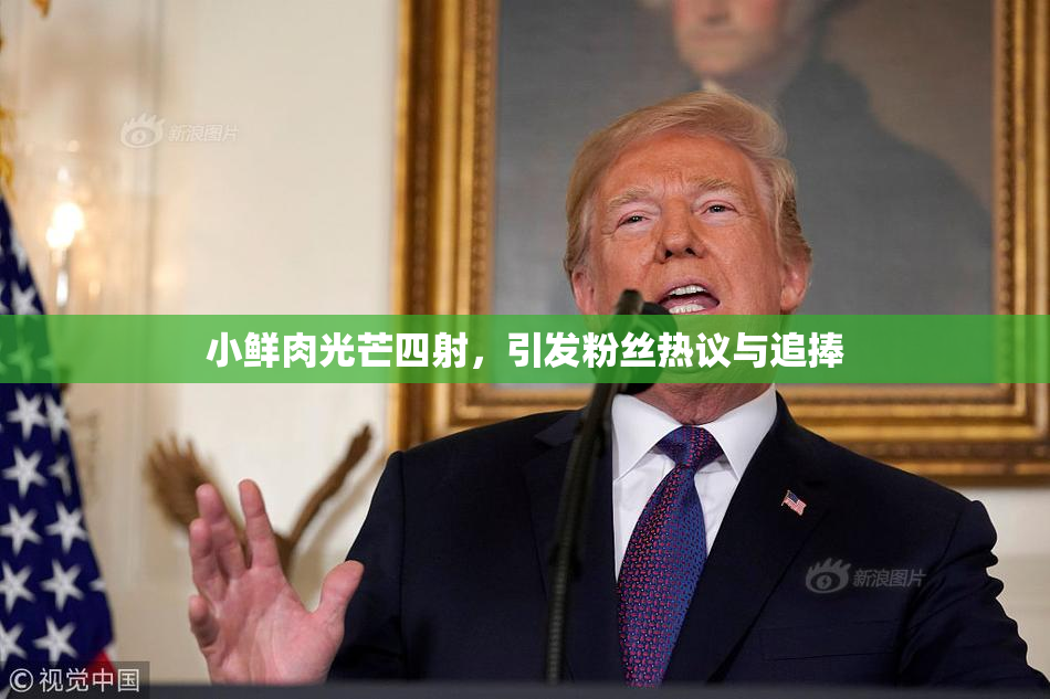 小鲜肉光芒四射，引发粉丝热议与追捧