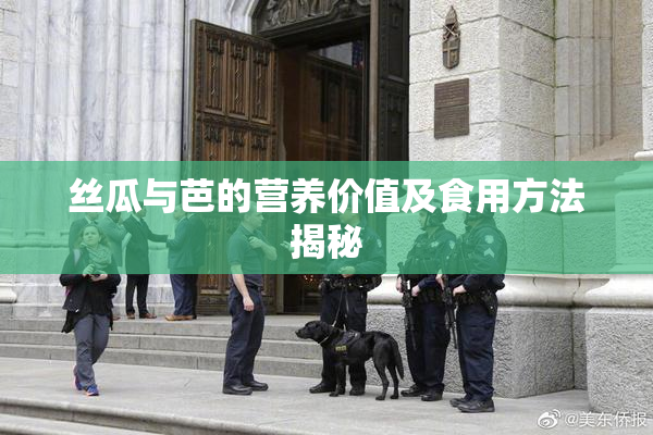 丝瓜与芭的营养价值及食用方法揭秘