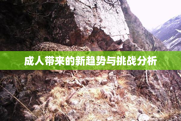 成人带来的新趋势与挑战分析