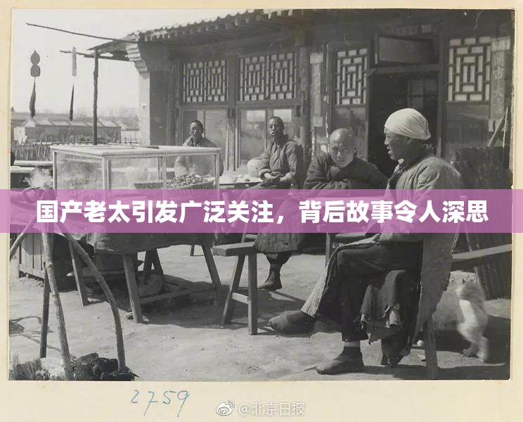 国产老太引发广泛关注，背后故事令人深思
