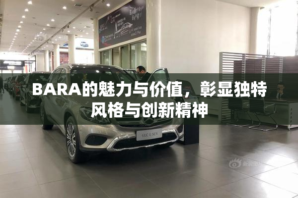 BARA的魅力与价值，彰显独特风格与创新精神