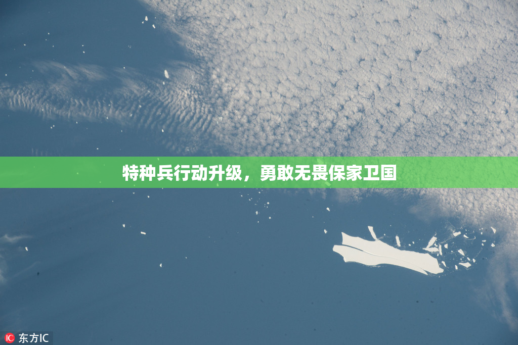 特种兵行动升级，勇敢无畏保家卫国