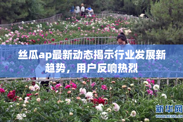 丝瓜ap最新动态揭示行业发展新趋势，用户反响热烈