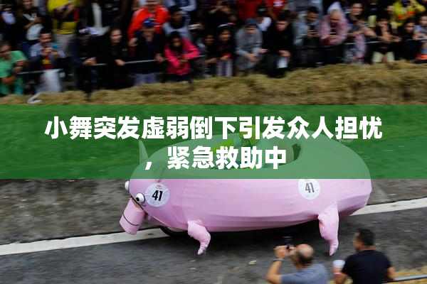小舞突发虚弱倒下引发众人担忧，紧急救助中