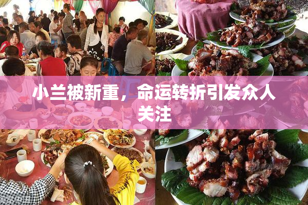 小兰被新重，命运转折引发众人关注