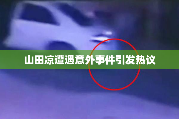 山田凉遭遇意外事件引发热议